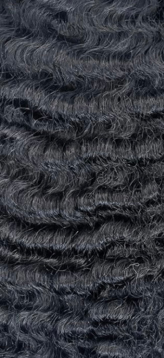 Burmese Curly